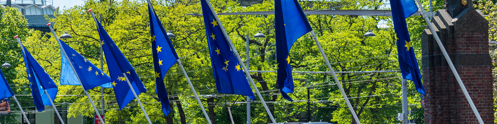 Napcore-EU-flags